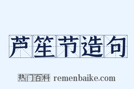 芦笙节造句是什么意思的图片